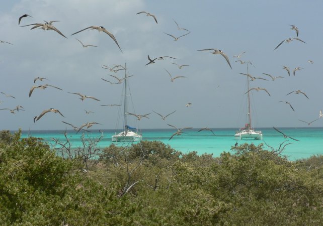 3- Bateaux au mouillage de Saki Saki 